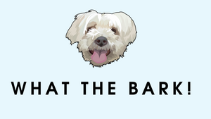 What The Bark Pawtraits